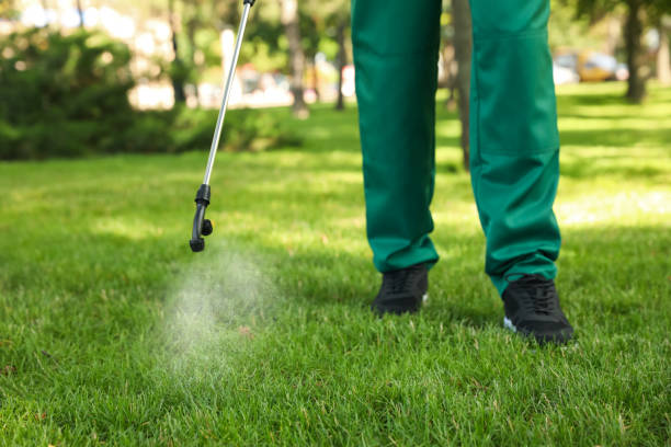 Lawn Pest Control in Moline, IL